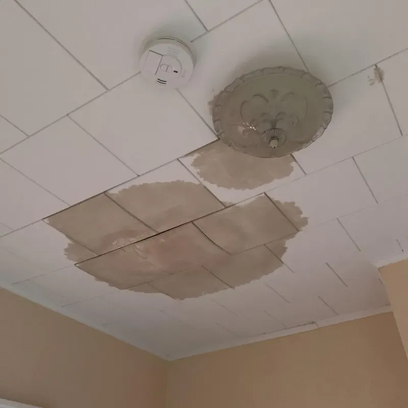 Ceiling Water Damage Repair in Wolf Trap, VA