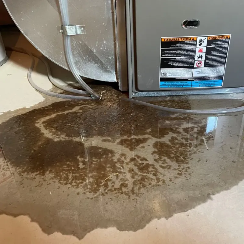 Pipe Burst and Leak Restoration in Wolf Trap, VA